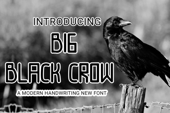 Big Black Crow: A Bold Display Font for High-Impact Design